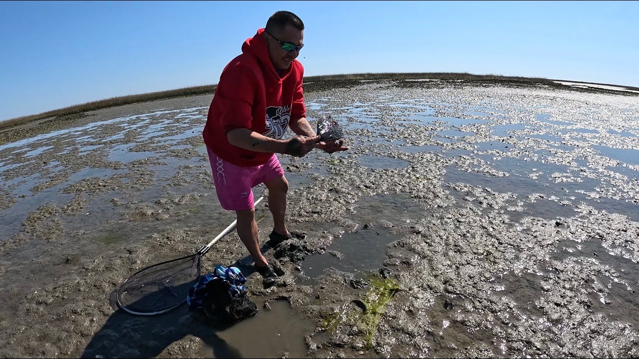 Săn bắt sò ,ghẹ ,chài cá đối ở Wilmington North Carolina (cuộc sống Mỹ)❤️🇺🇸🌾🎣👍