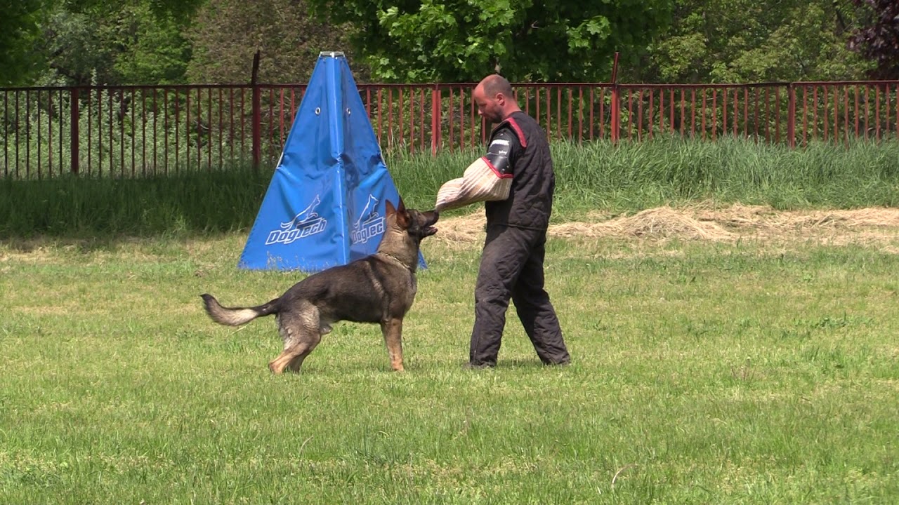 IGP 1. őrző-védő