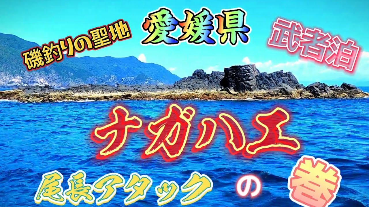 【愛南町武者泊】名礁ナガハエで　尾長アタック❔‼️　マジかぁ～１日に2本も(涙)