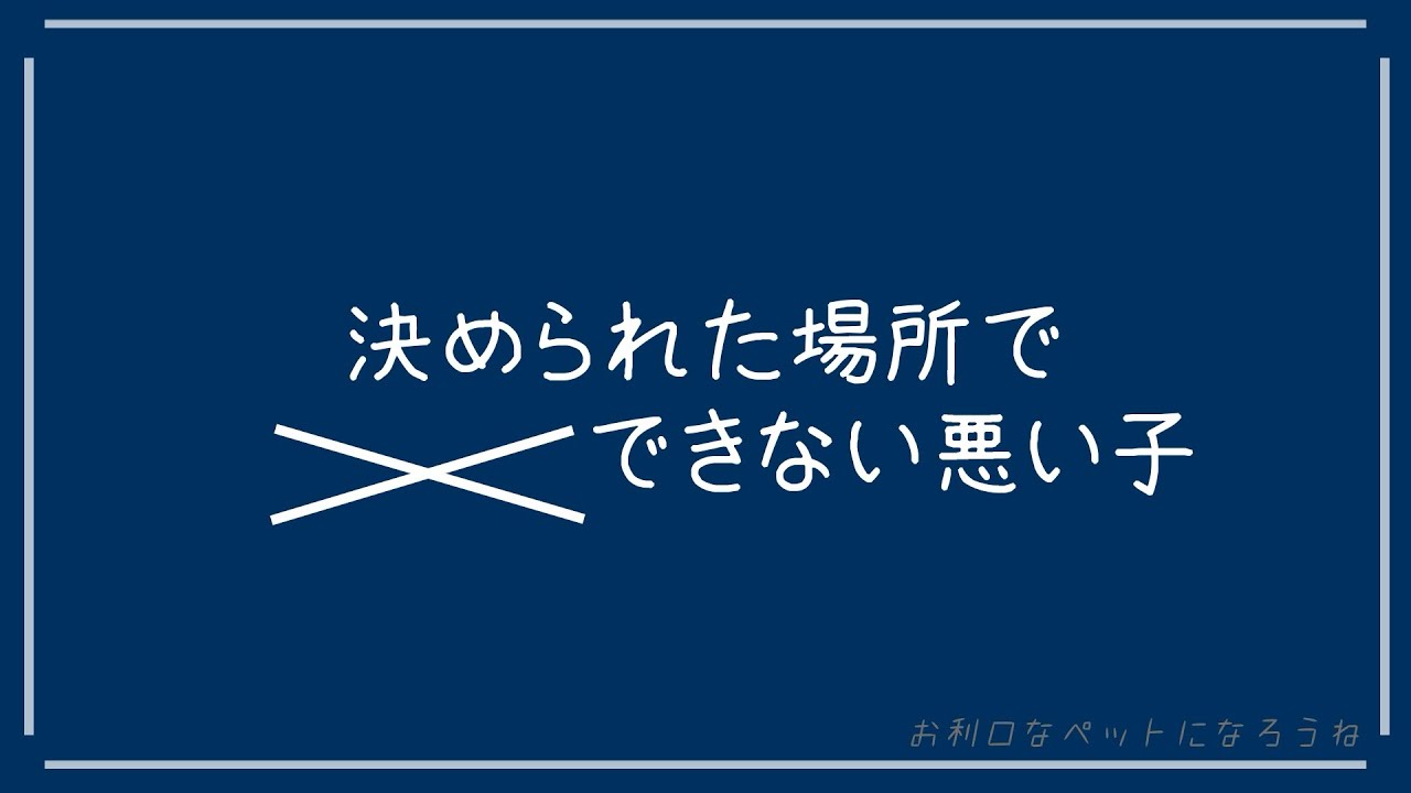 【百合ボイス】私のペットになったばかりだもんね【※おしがま】