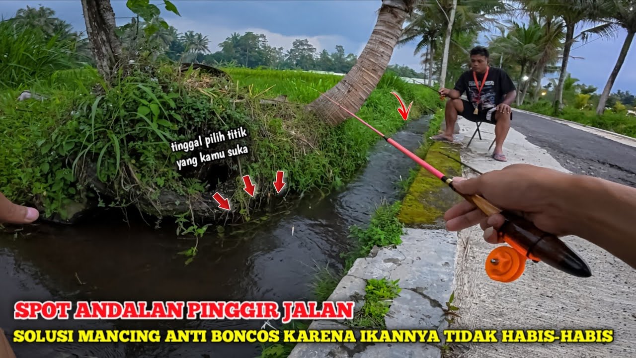 🍃 SPOT ANDALAN PINGGIR JALAN, MANCING JAMINAN ANTI BONCOS KARENA IKANNYA NGGAK HABIS-HABIS 😍
