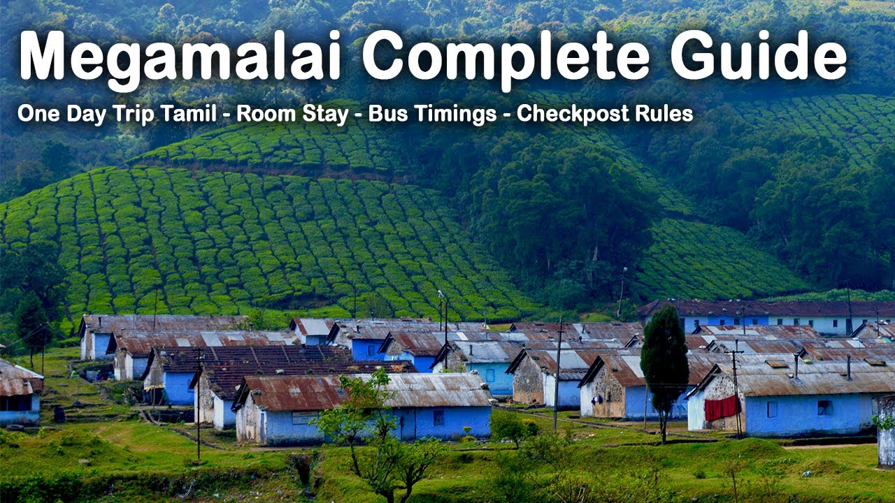 Megamalai ☁ Tourist Places Complete Guide 2023 | Room Stay Food | Bus and Check Post Timings