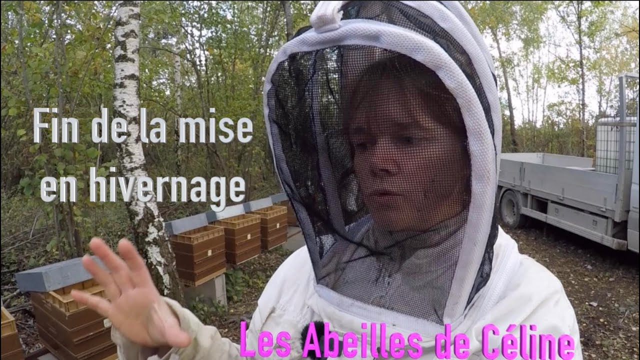 Fin de la mise en hivernage