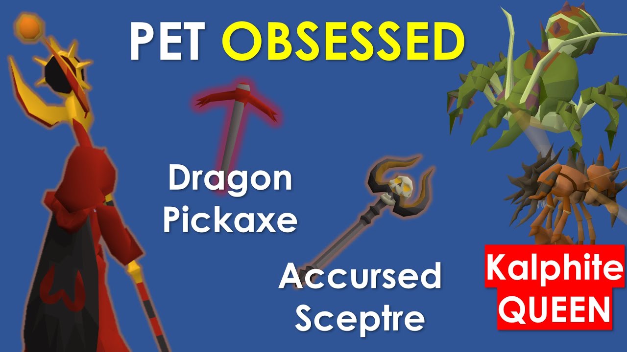 Pet Obsessed: Episode 1