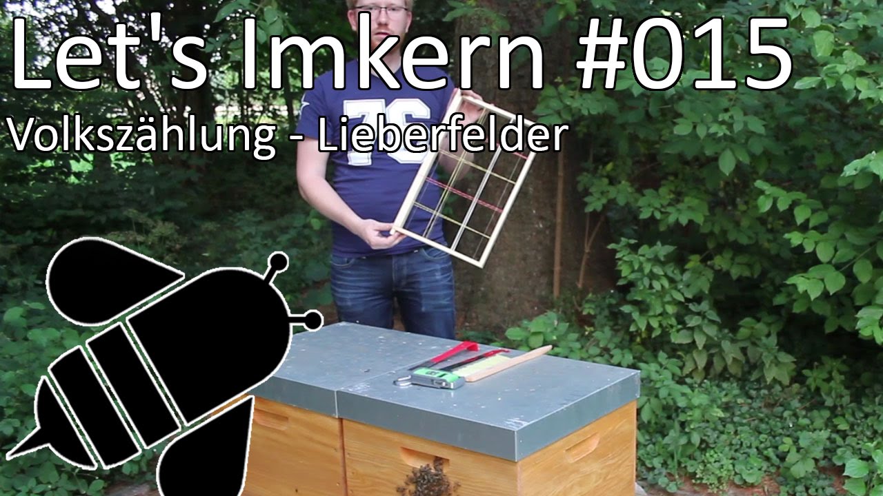 Let's Imkern | #015 | Volksz&auml;hlung - Lieberfelder Sch&auml;tzmethode