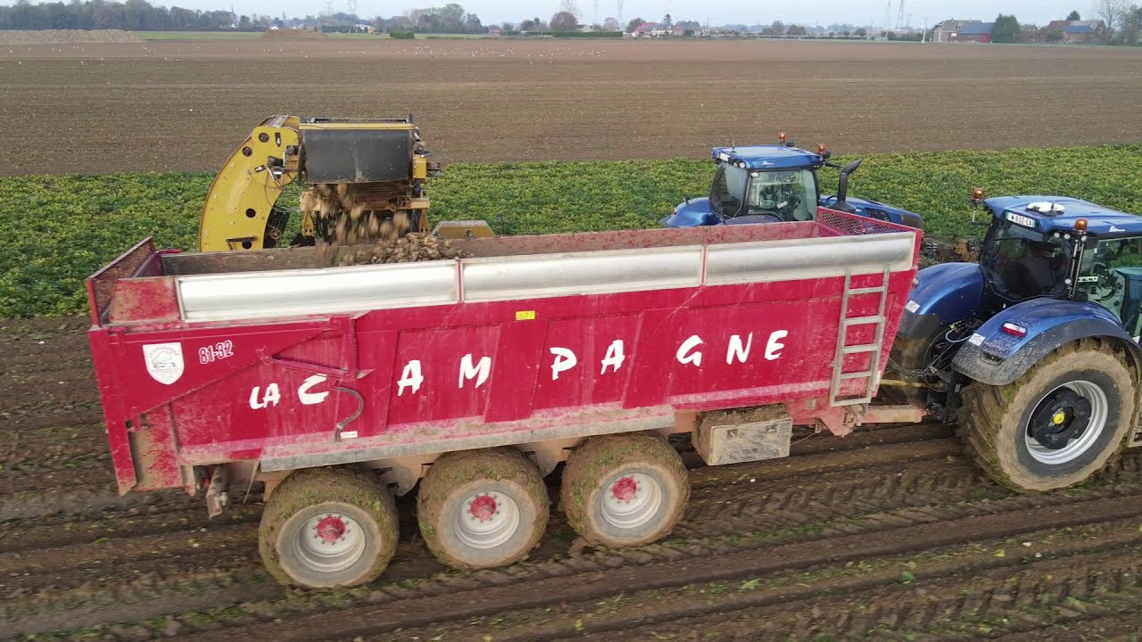 Chantier d'arrachage betteraves en Picardie