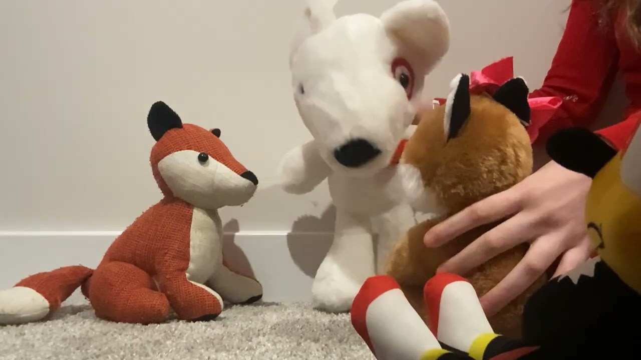 Shadow and Finnegan episode 15 : Finnegan’s Cold day 🤒🤧🦊