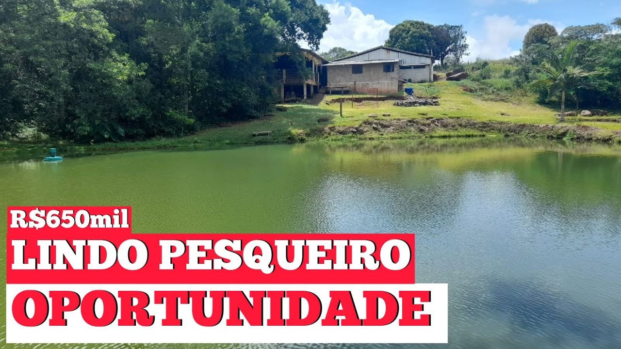 LINDO PESQUEIRO A VENDA NO PARANÁ MUITA ÁGUA E ESTRUTURA COMPLETA R$650mil