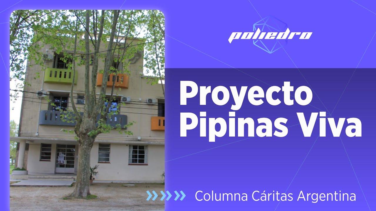 Proyecto Pipinas Viva