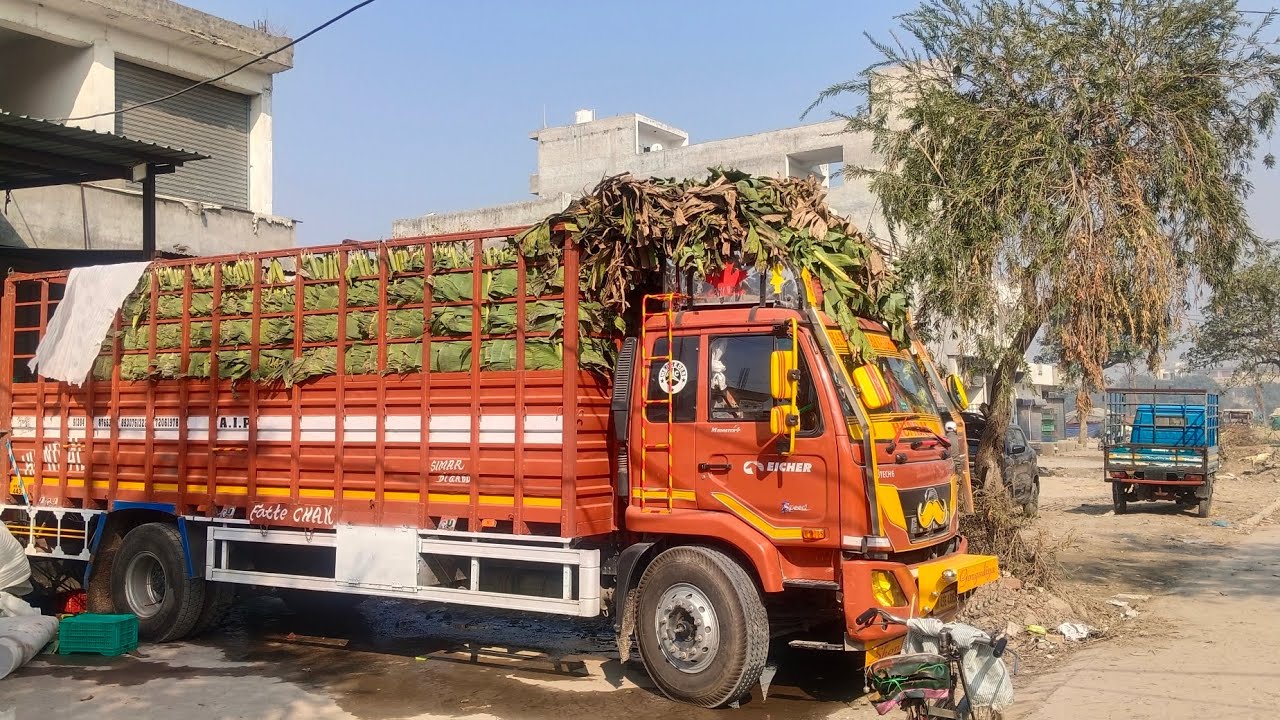 Unloading ✅ punjab mandi ludhiana 