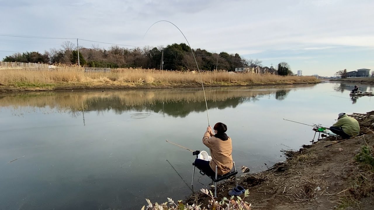 古利根川が釣れている！？