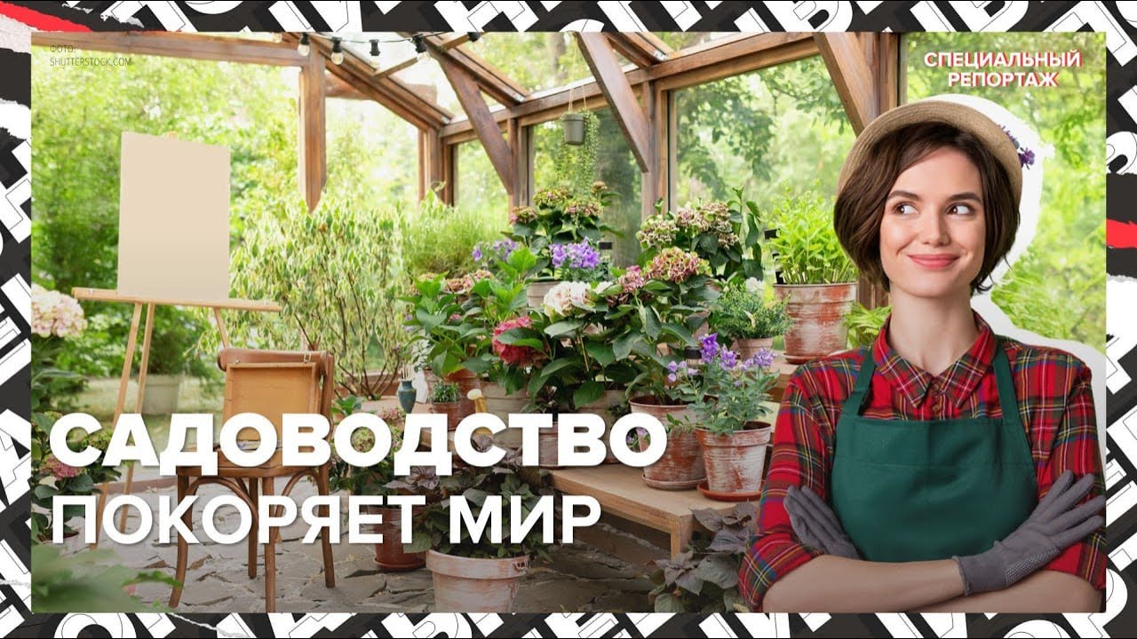 САДОВОДЫ ТРАТЯТ МИЛЛИОНЫ? | Новый тренд в мире | Специальный репортаж