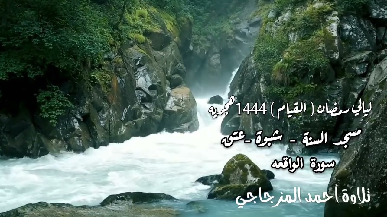تلاوة أحمد المزجاجي