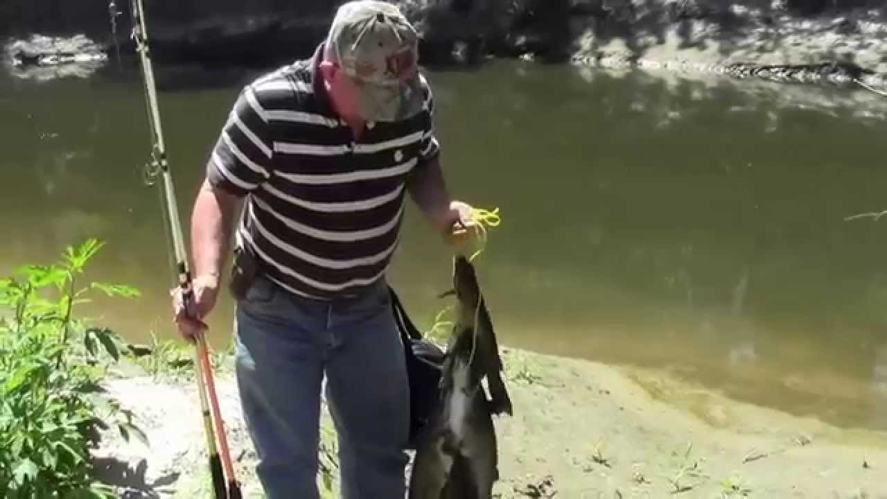 Catfish Creek Fishing
