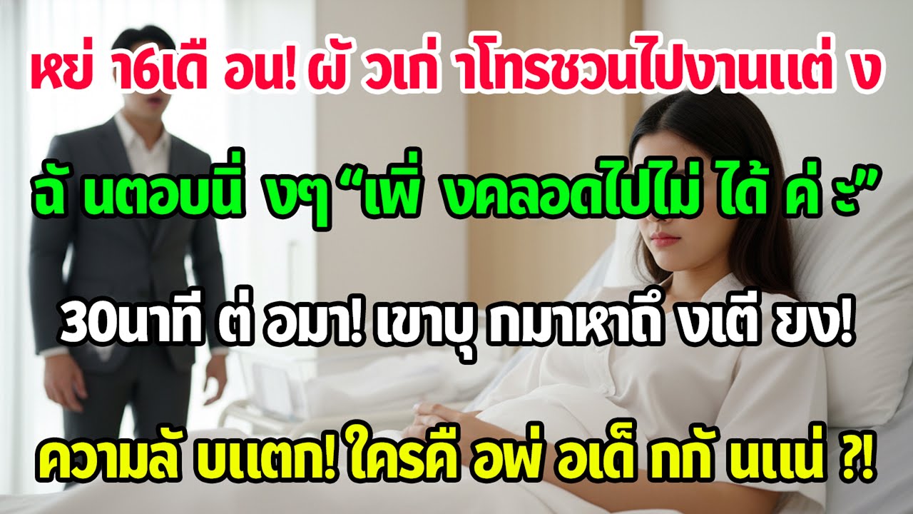 หย่ากันครึ่งปี ผัวเก่าโทรชวนไปงานแต่ง พอฉันบอก "เพิ่งคลอดลูก" เขารีบทิ้งงานบึ่งมาหาถึงเตียง!