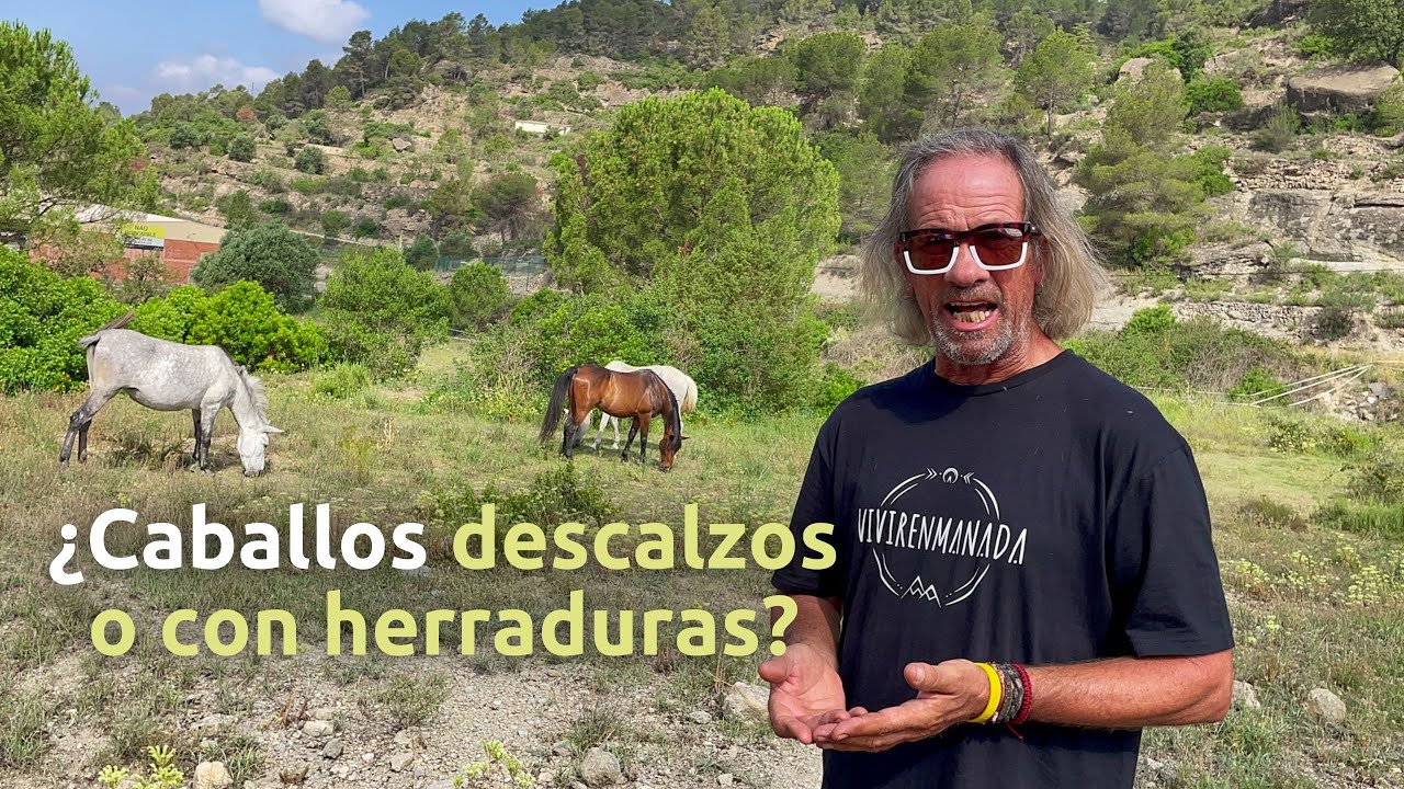 &iquest;Caballos descalzos o con herraduras?