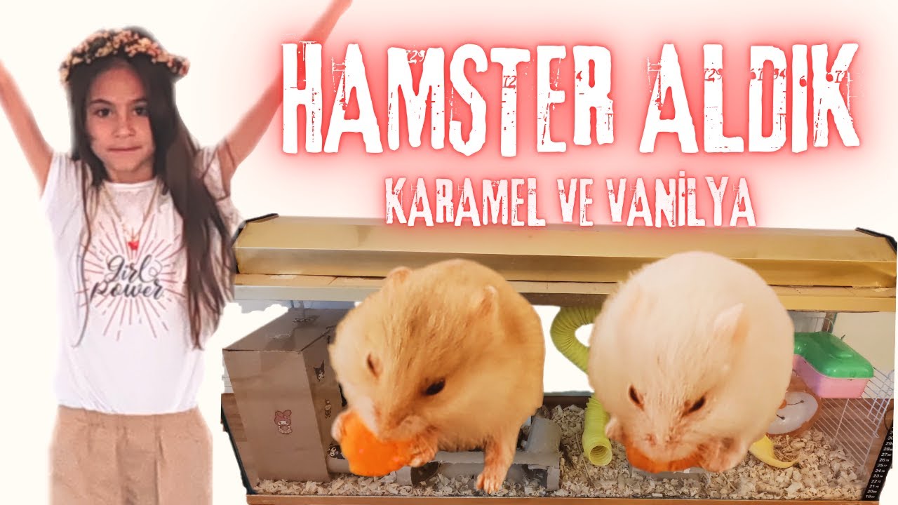 EVCİL HAYVAN ALDIK | GONZALES HAMSTER