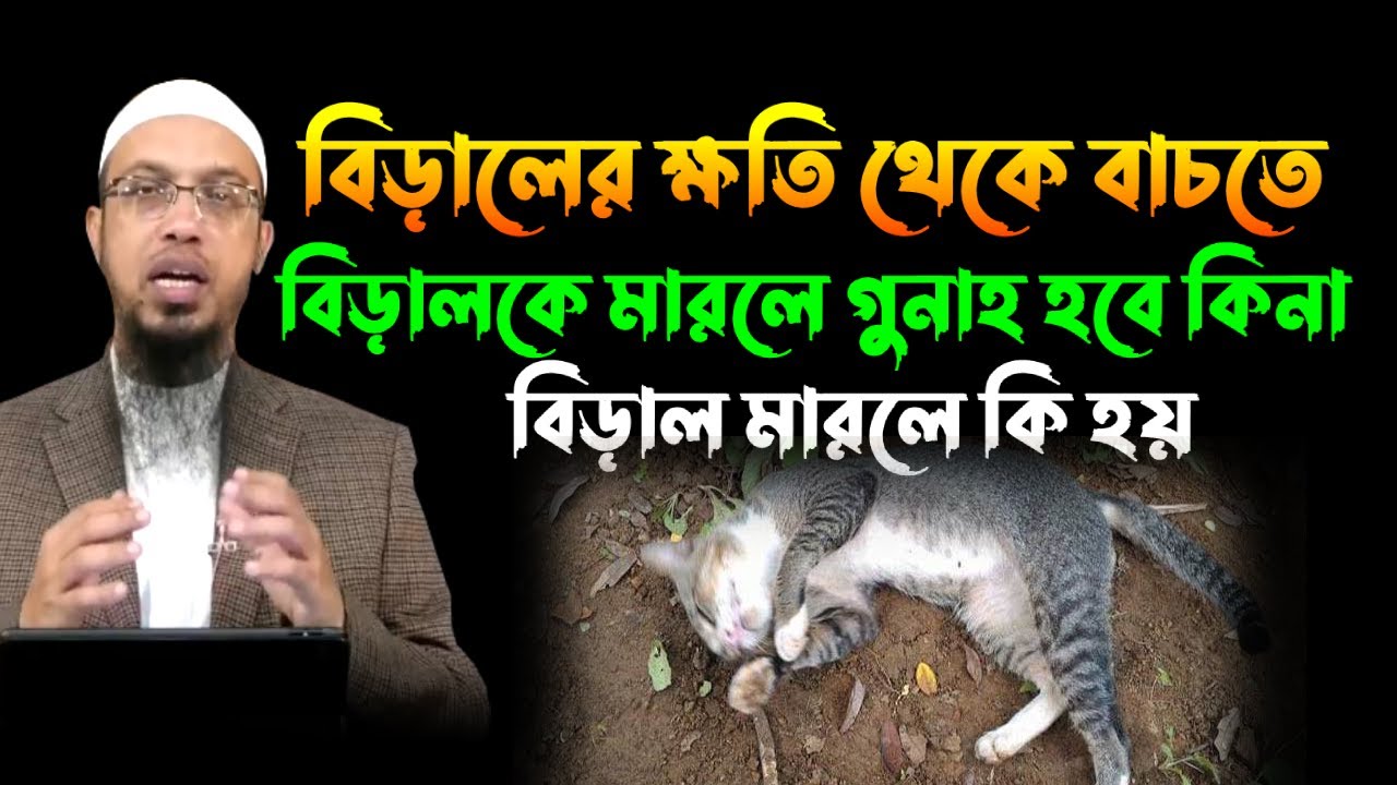 বিড়াল মারলে কি হয়। বিড়াল  মারলে গুনাহ হবে কিনা? শায়খ আহমাদুল্লাহ hq bd waz new 2024