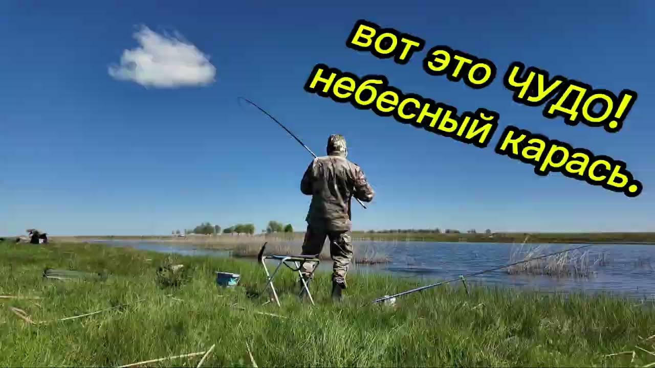 28 февраля 2026 г.
