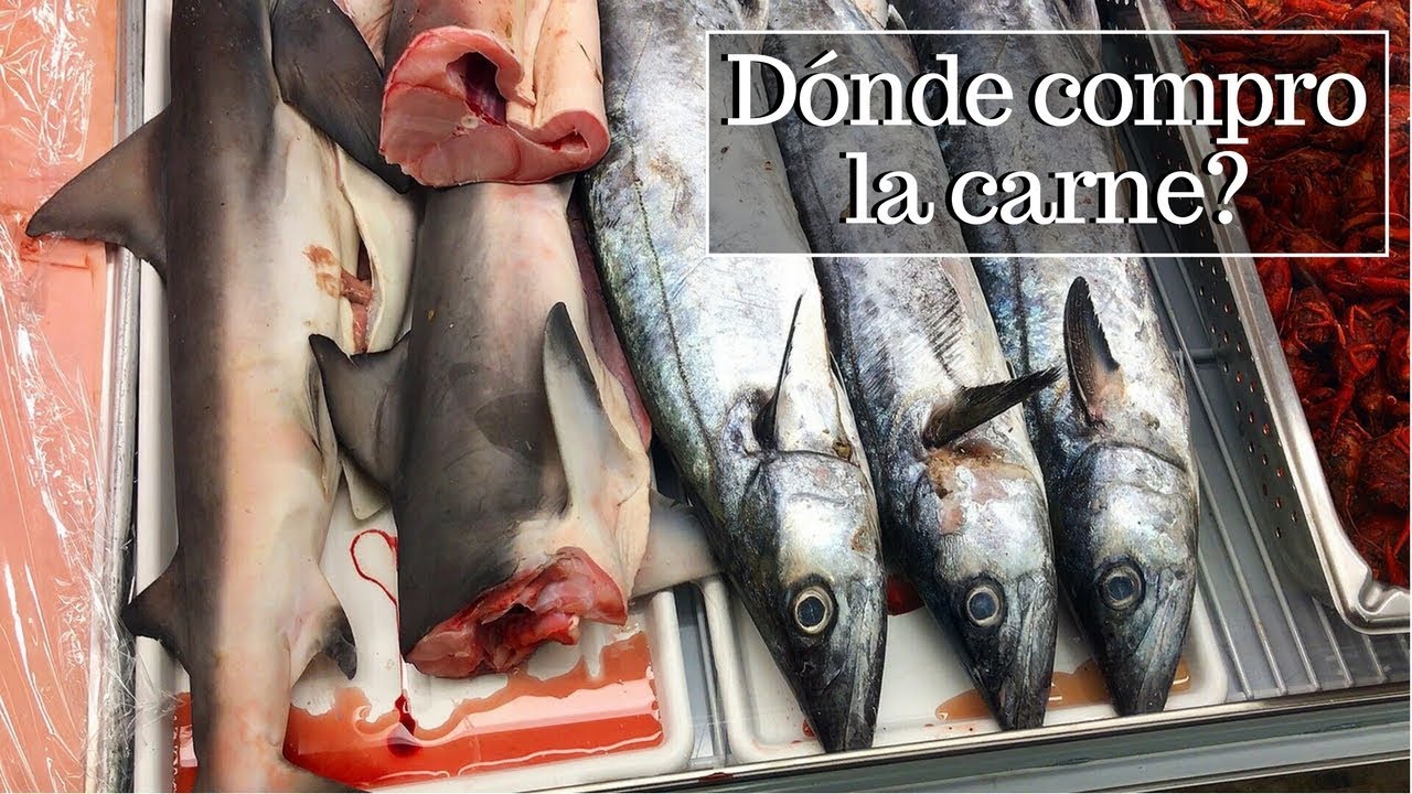D&oacute;nde compro la carne de los videos? | La Capital