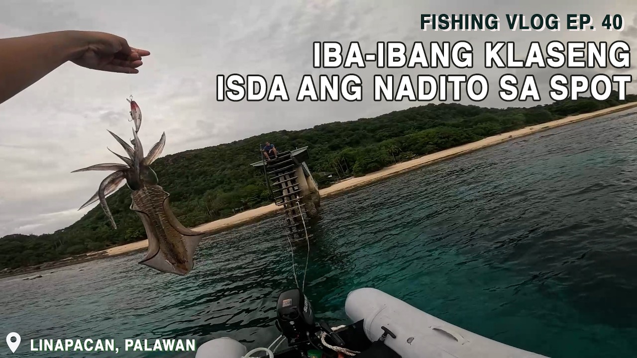 Iba-ibang mga isda nandito sa pier na to - Fishing Vlog Ep. 40
