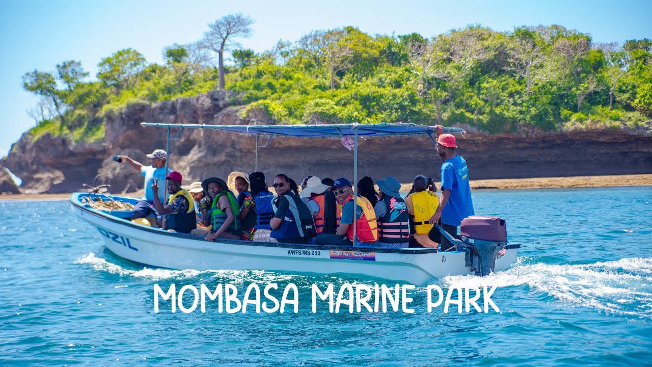 Mombasa Diaries~Visiting Kisite Marine Park • Sunrise ✨️, Boat Cruise🚢
