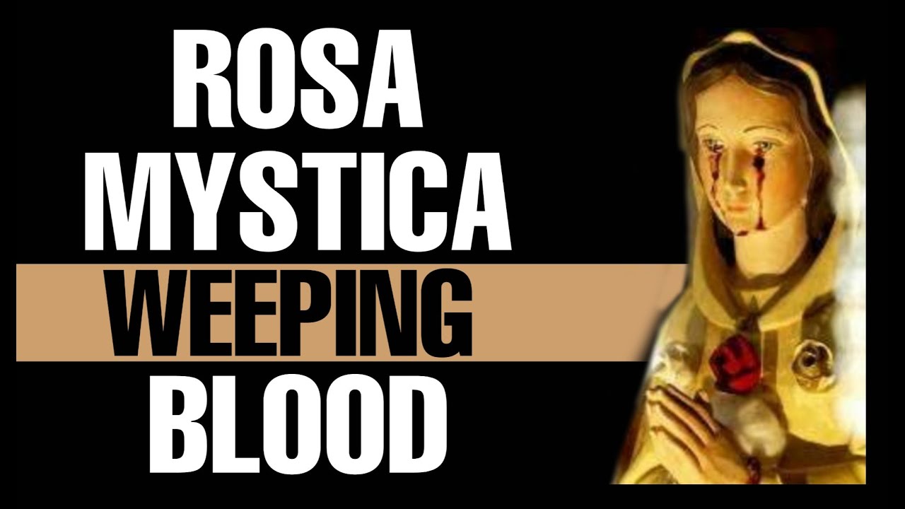 Rosa Mystica Healing Miracles ~Erumeli, Kerala 🇮🇳《റോസ മിസ്റ്റിക്ക മേരി അത്ഭുതങ്ങൾ》Marian apparition