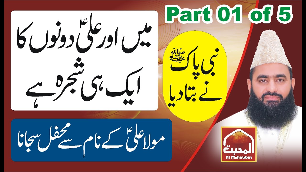 Shahadt e Mola ALI (a.s) - Beautiful bayan by  Syed Tayyab Shah Gillani ( Part 01 )