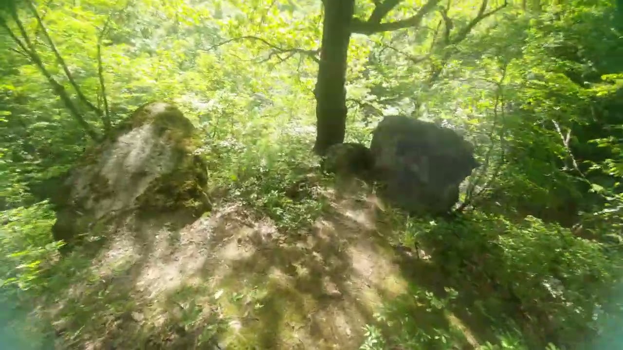 Walking in the Sar Sabz forest of Iran pov #pov #forest