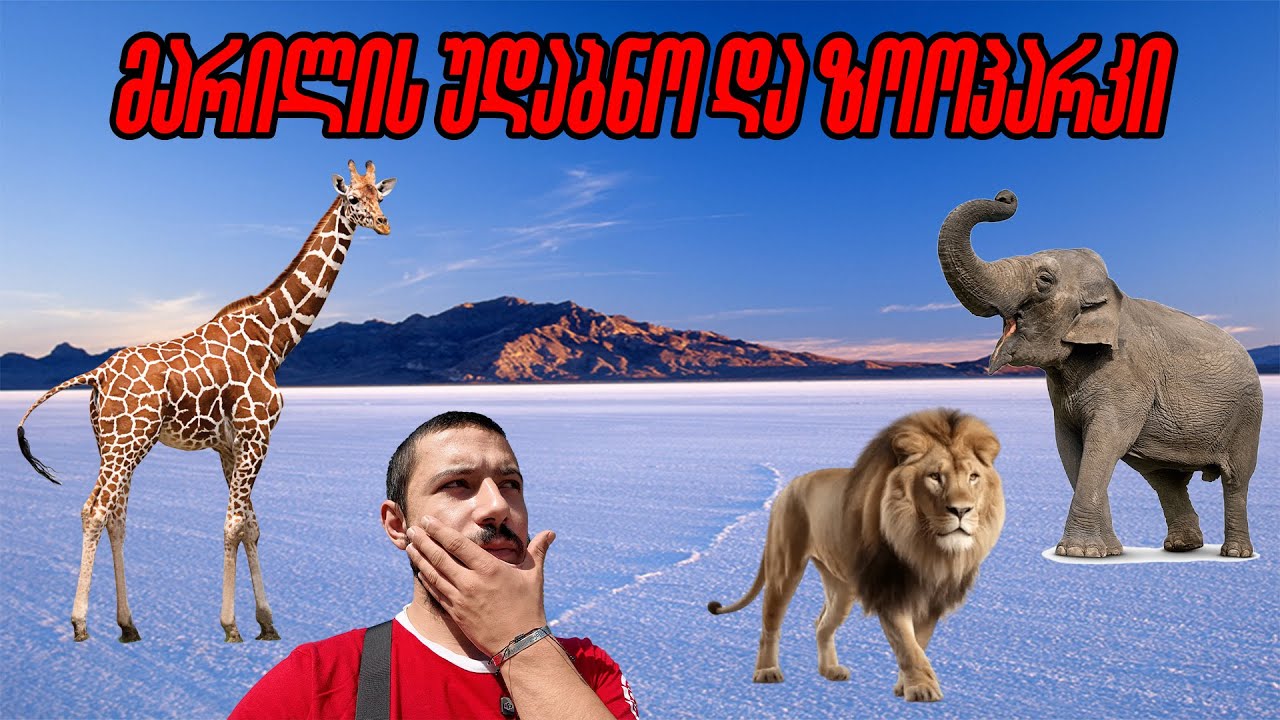 ერთ-ერთი დიდი ზოოპარკი და მარილის უდაბნო | One of the largest zoos and the salt desert