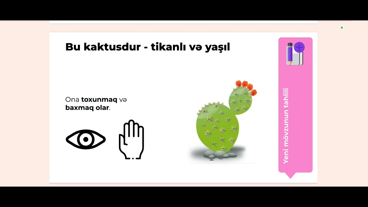 Rəqəmsal bacarıqlar. 2-3 cu sinif İnformasiya və onun növləri