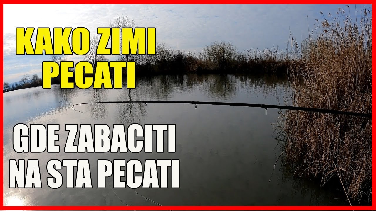 Pecanje,kako zimi do Sarana, gde zabaciti,na sta ga pecati ?!?!