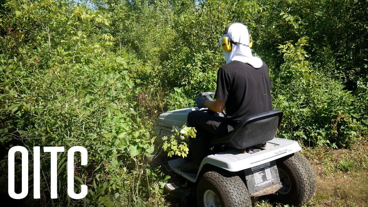 Mowing Super Thick Brush with a Cheap Riding Mower