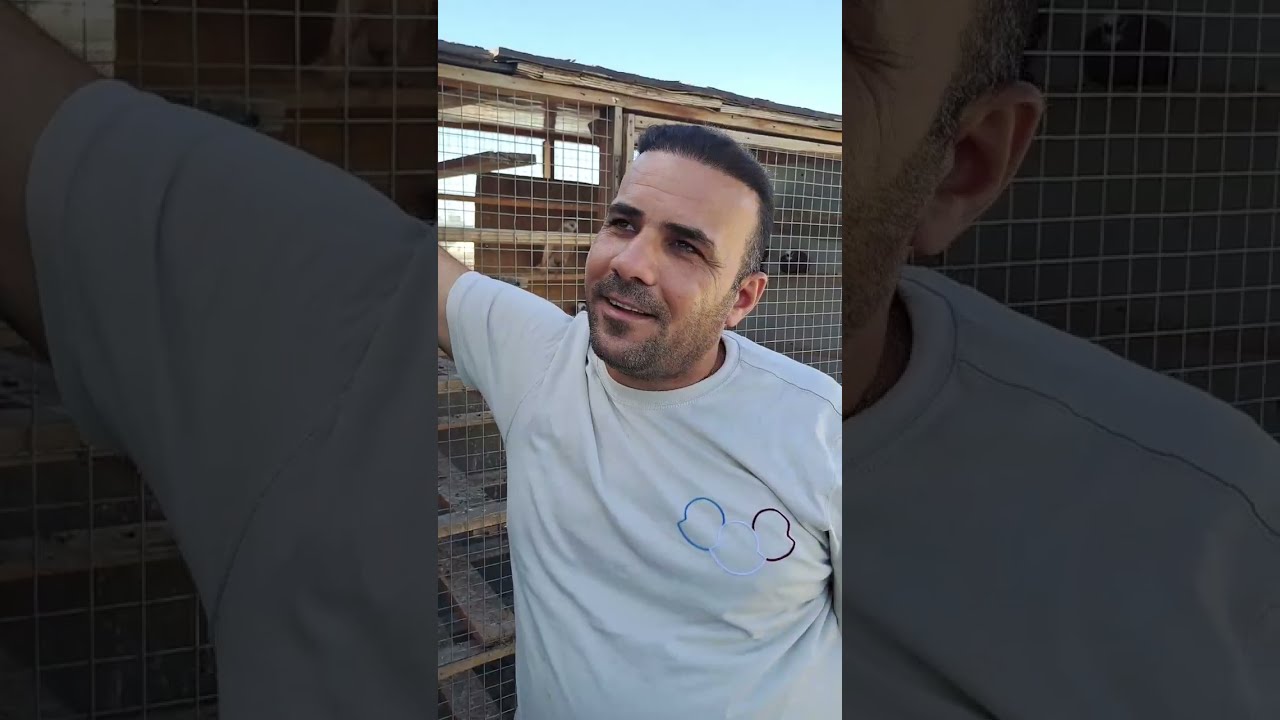 باب الشيخ يم الكابتن فاضل الكردي