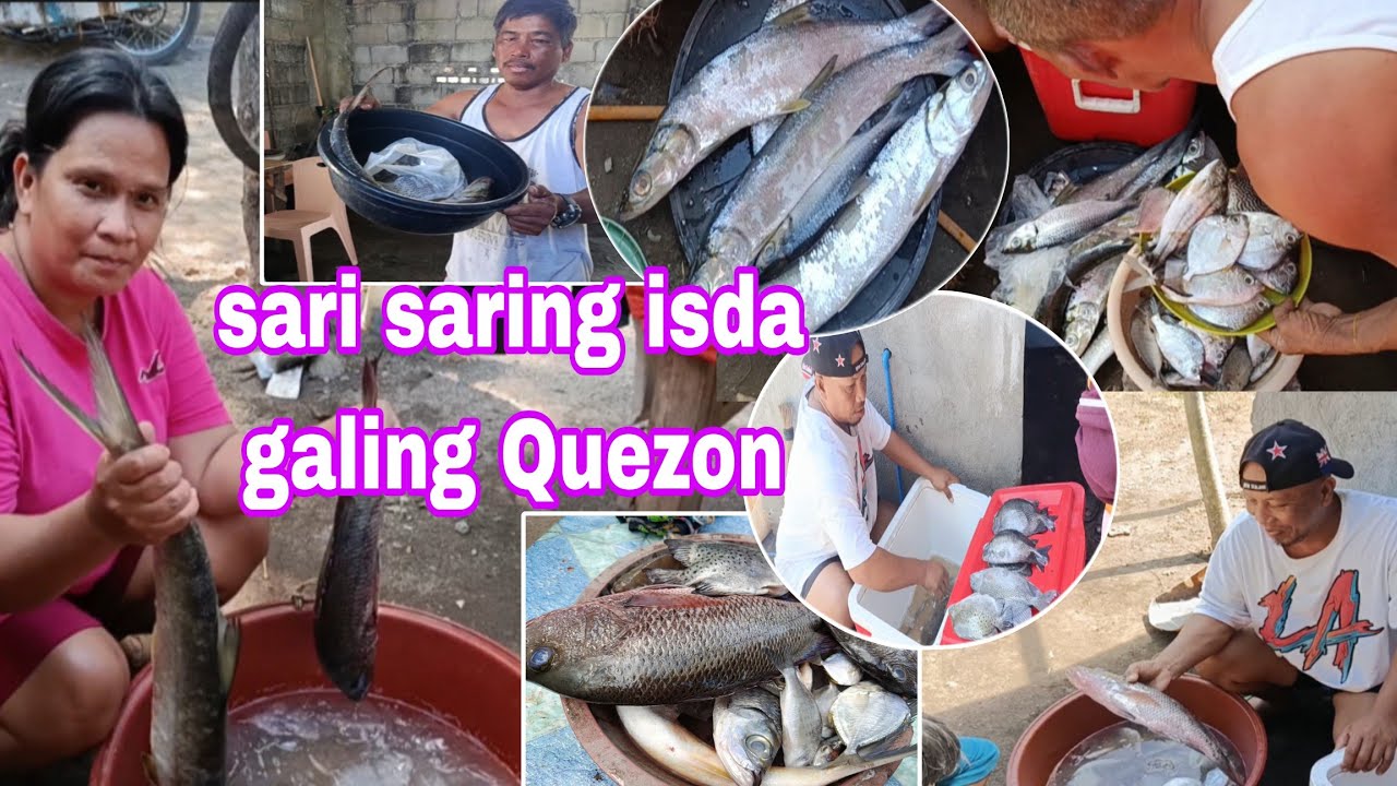 Kinuha namin ang padalang isda galing Quezon 