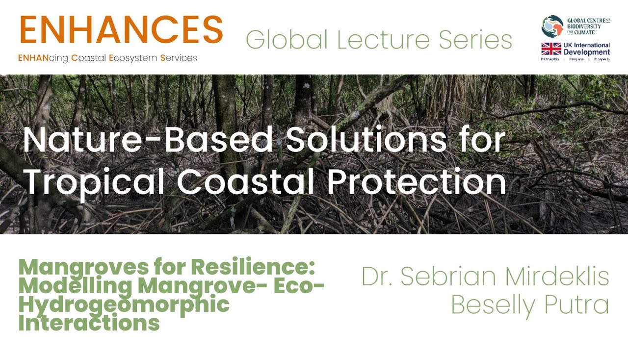 Mangroves for Resilience: Modelling Mangrove- Eco-Hydrogeomorphic Interactions