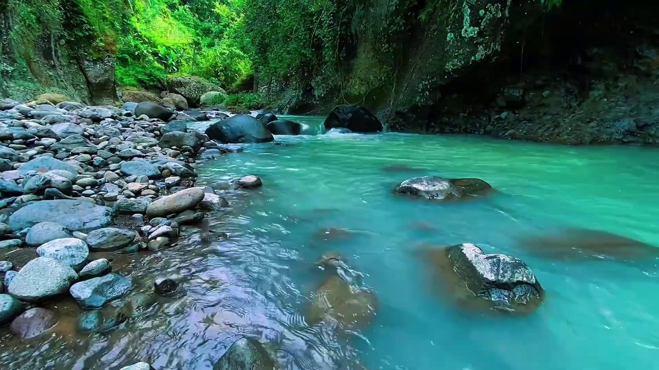 Mountain Stream Gentle Water Sounds, Forest River, Sleeping