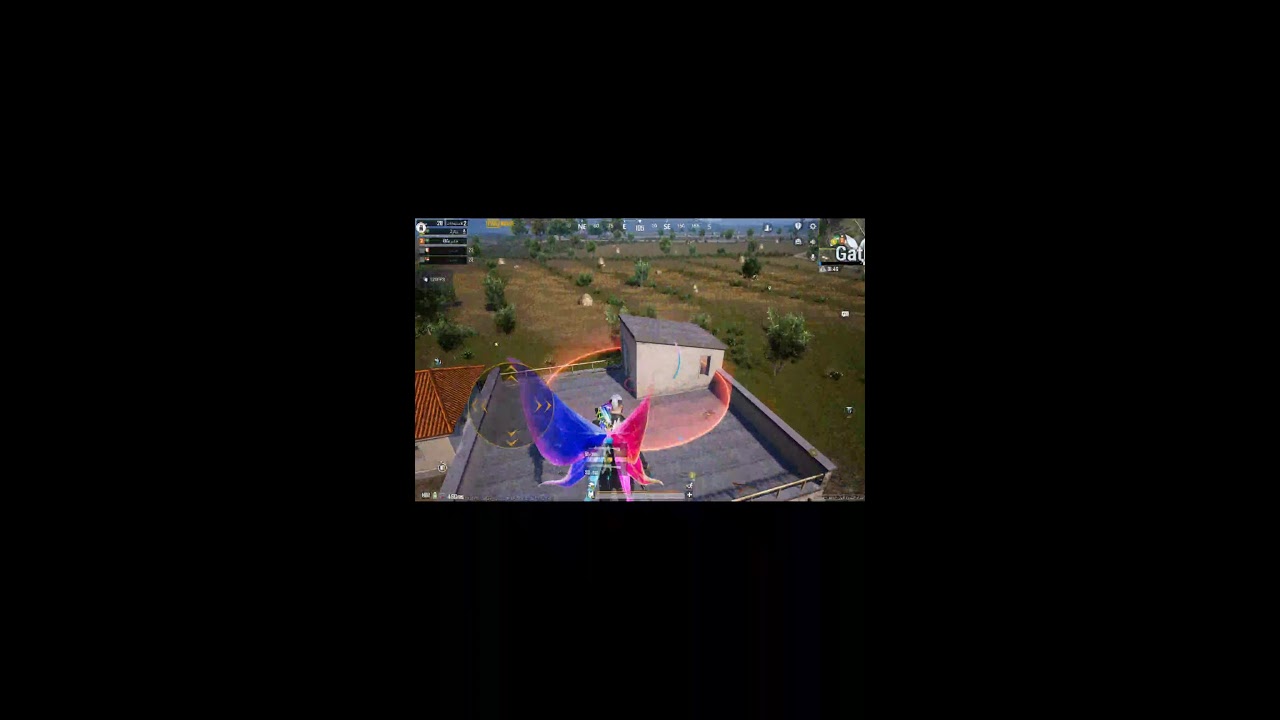 فراشة ببجي ... حياكم