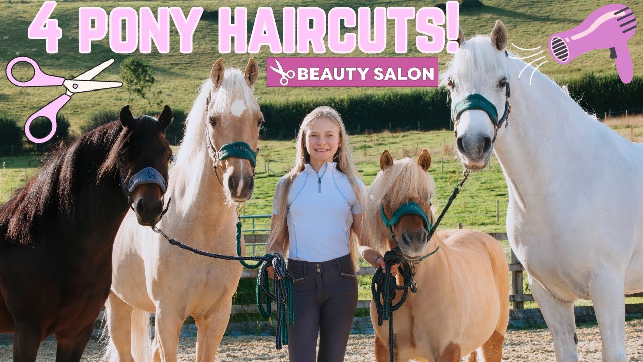 4 PONY HAIRCUTS! ROLO GETS READY FOR HOYS!