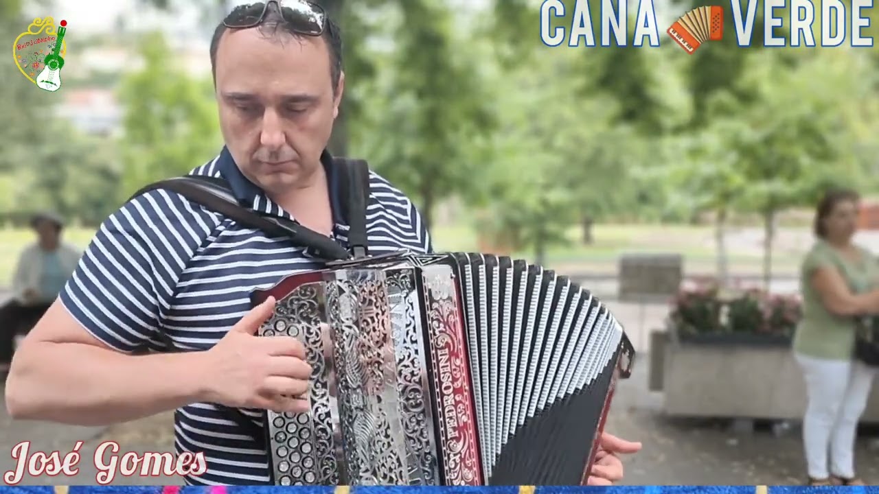 Cana Verde 👉Concertina 👏José Gomes Exímio Tocador da Concertina 🪗Acordeão Diatónico 🎼Arcos Valdevez