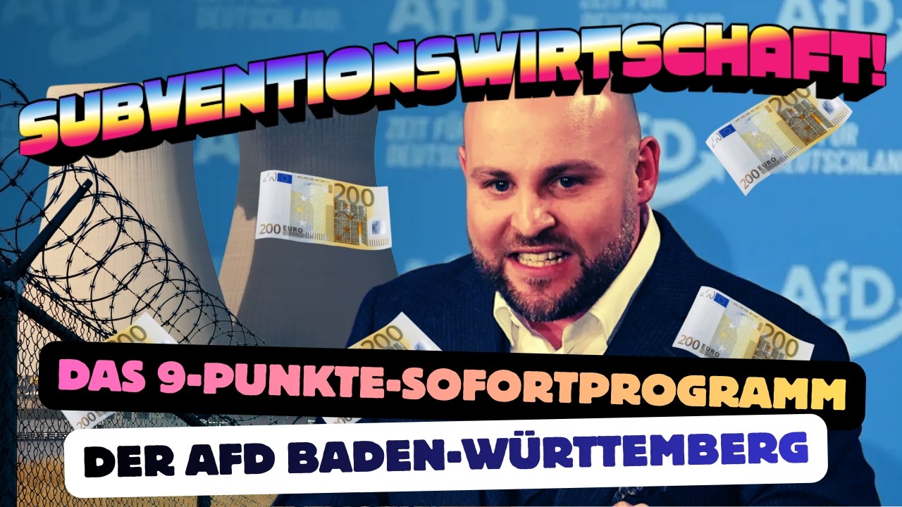 Subventionswirtschaft in Reinform | Das 9 Punkte Sofortprogramm der AfD Baden-Württemberg