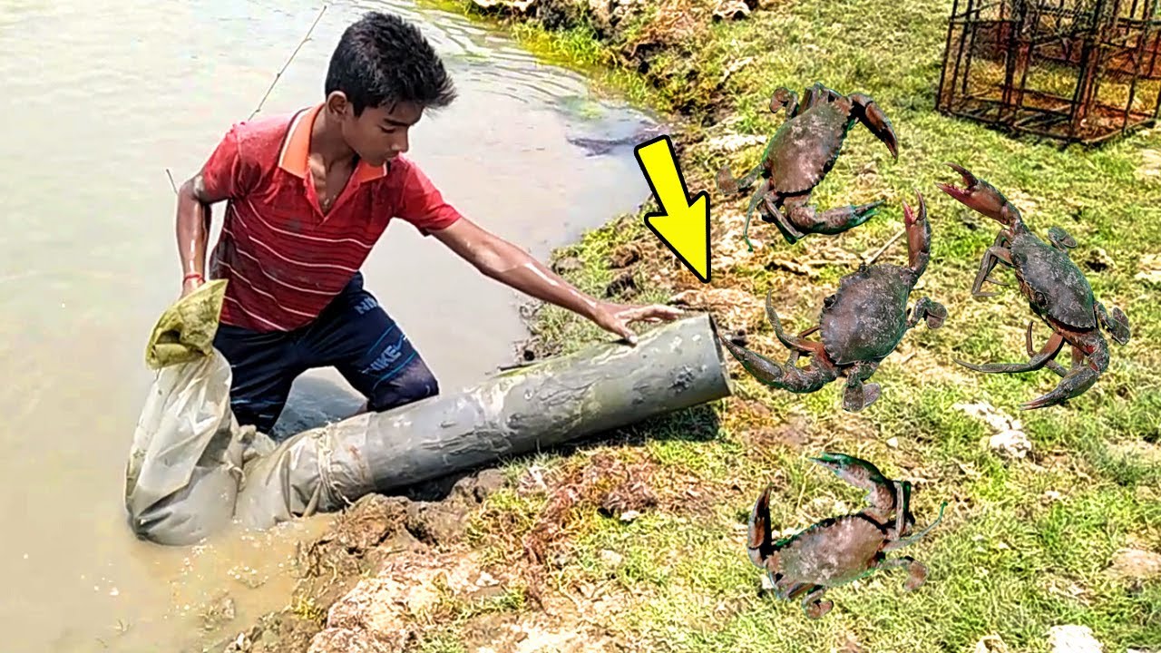 Build Underground Crab Trap Using PVC Pipe and Liquid Spray || Unique Way Of Mud Crabs Catching