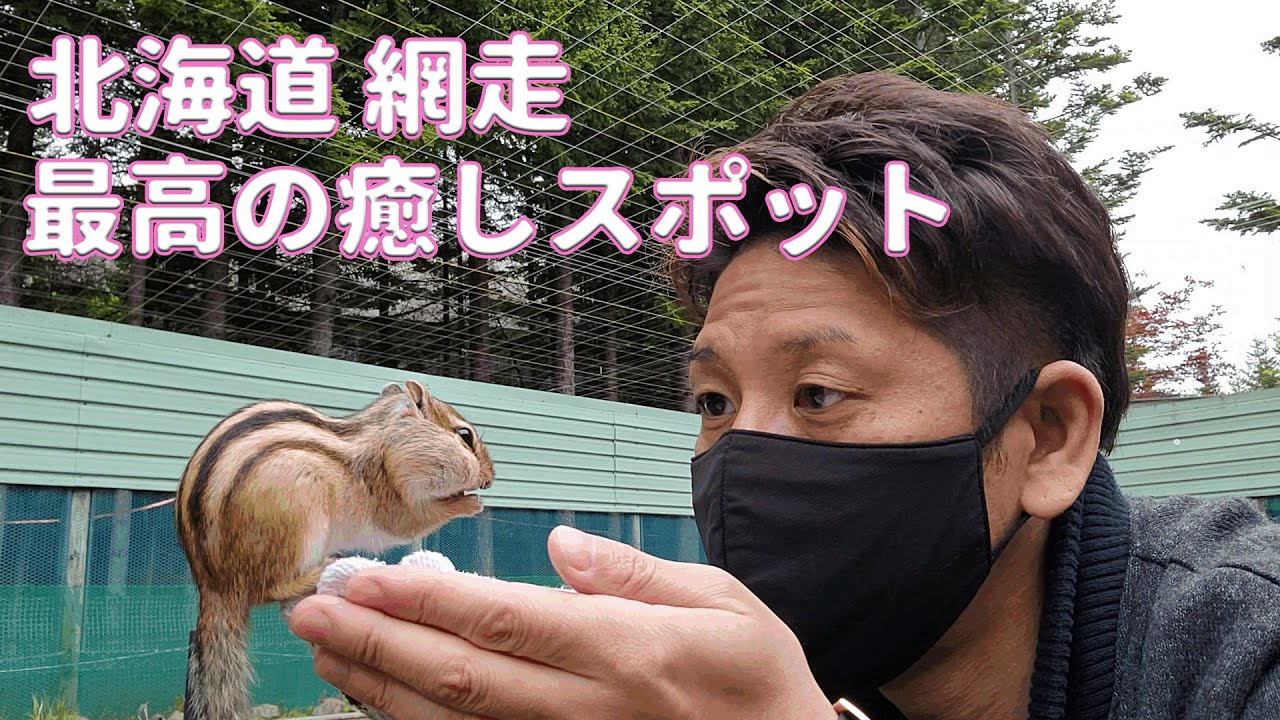 【北海道ぼっち旅】網走 シマリス公園  最高の癒しスポット
