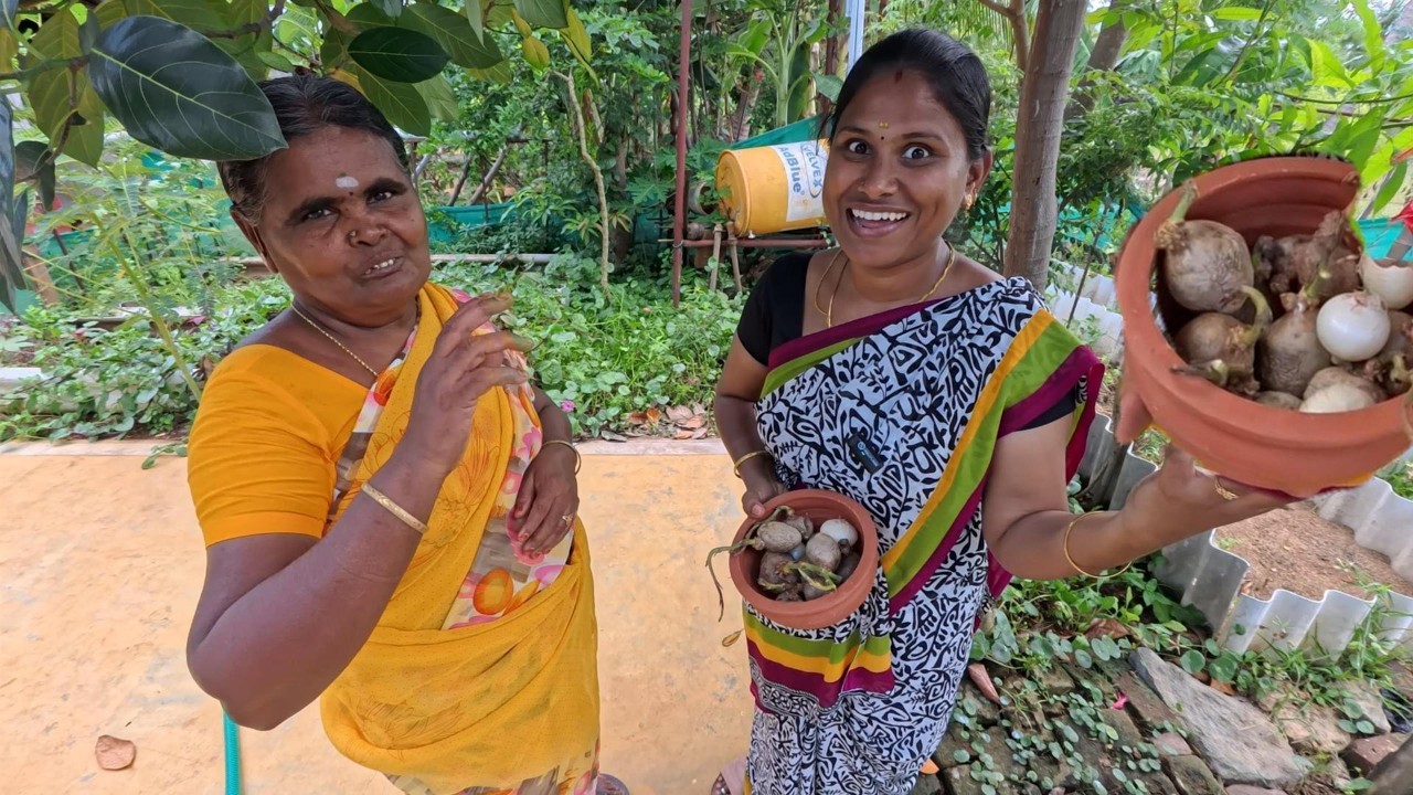 நம்ம தோட்டத்துக்கு மறுபடியும் உயிர் வந்துருச்சுங்க😍 கையோட நம்ம நம்பரும் குடுத்தாச்சுங்க | INDIAKUTTY
