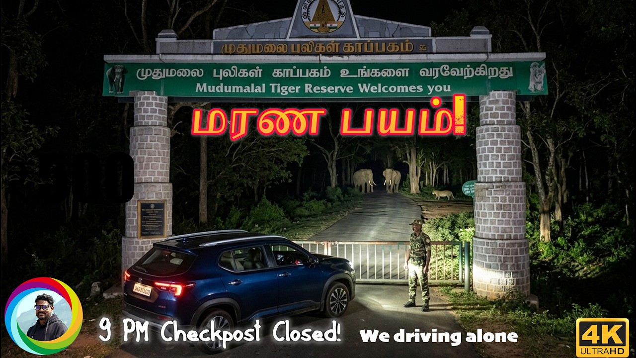 ⚠️ Crossing 3 Forests Muthanga, Bandipur & Mudumalai 😱Thrill Night Journey 😱Heart Stopping