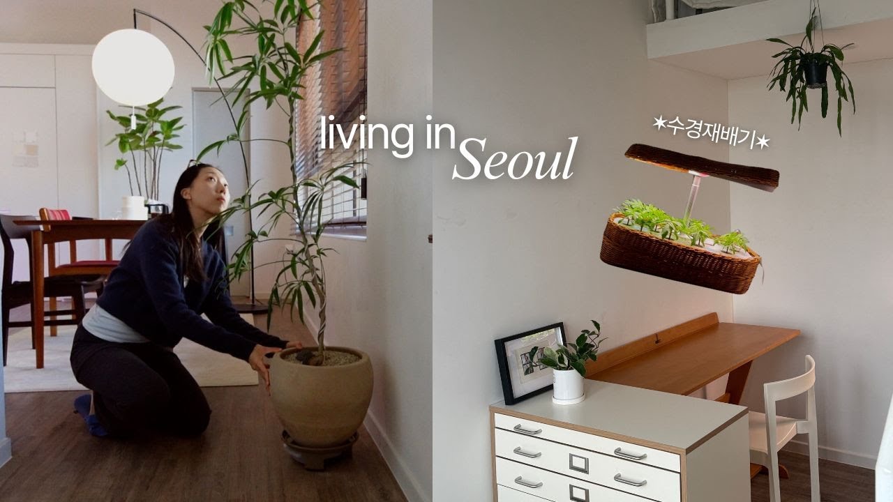 vlog 집에 식물을 들였더니 생기는 놀라운 변화 ✦ 식물 잔뜩 구입하고, 실내에서 바질 키우는 일상 🪴