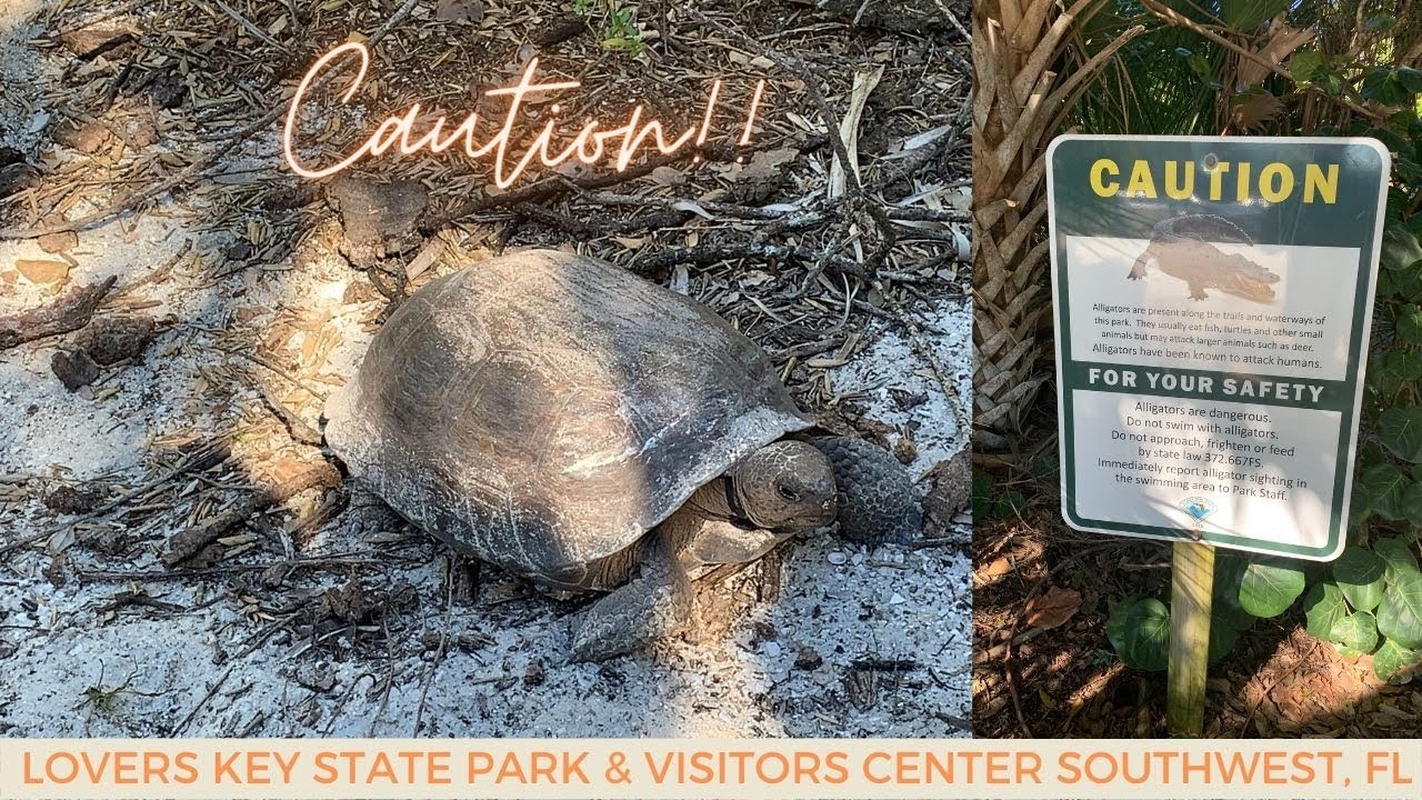 Lovers Key Beach | Lovers Key State Park | Bonita Springs Florida