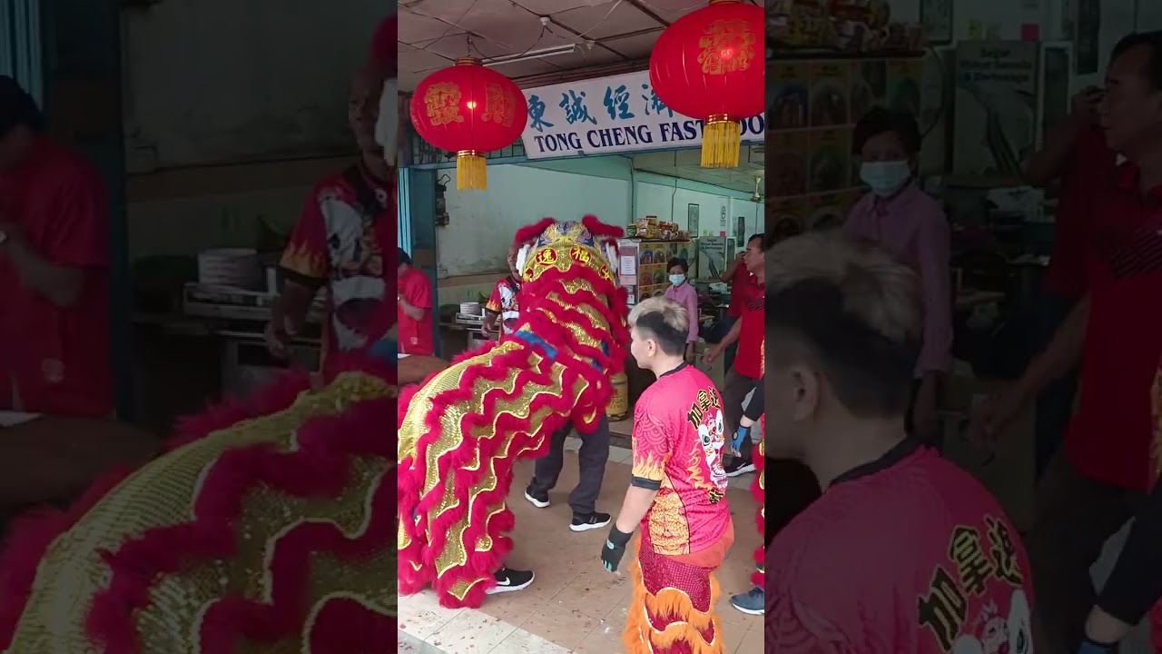 Chinese New Year - Lion Dance 大年初三，醒狮来拜年 #liondance #舞狮 #醒狮