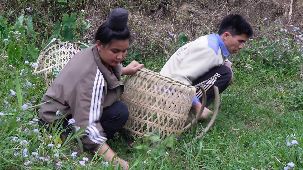 One day, I followed a poor couple raising livestock; it was tiring but full of happiness.