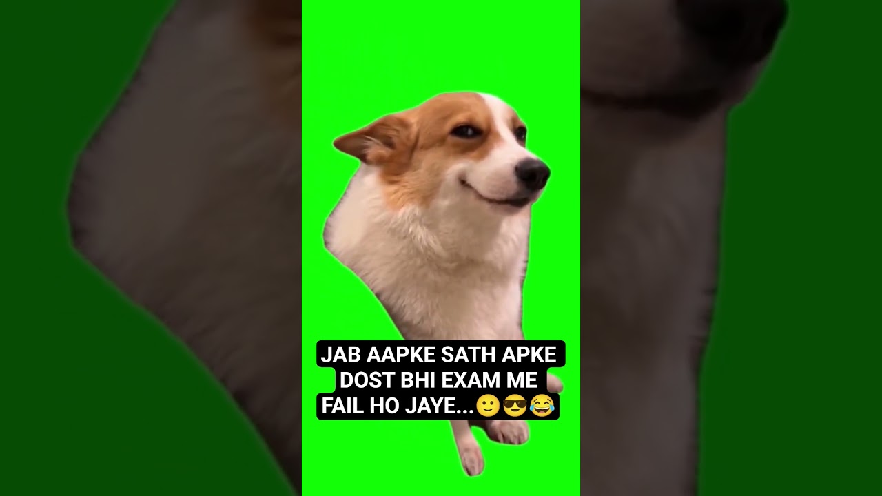 #music #bollywood #civilservice #uppscroaro #memes #funny #uppscro #ytshorts #shorts